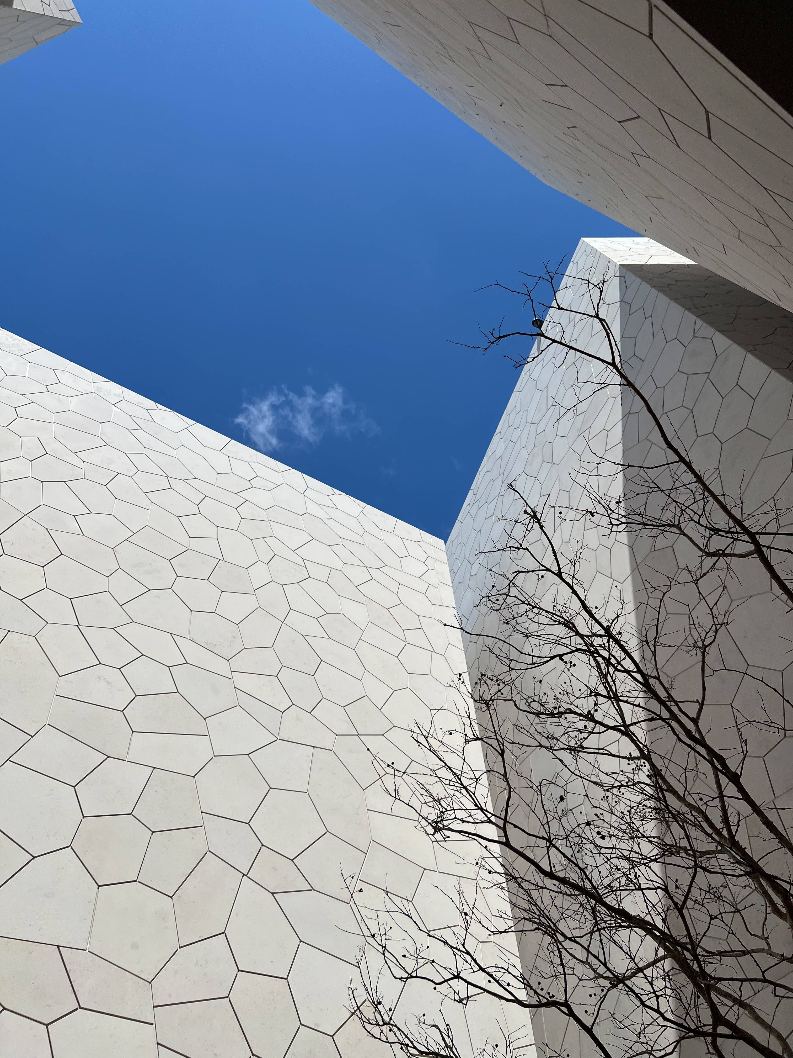 Perspectives of the Saudi Arabia Pavilion.