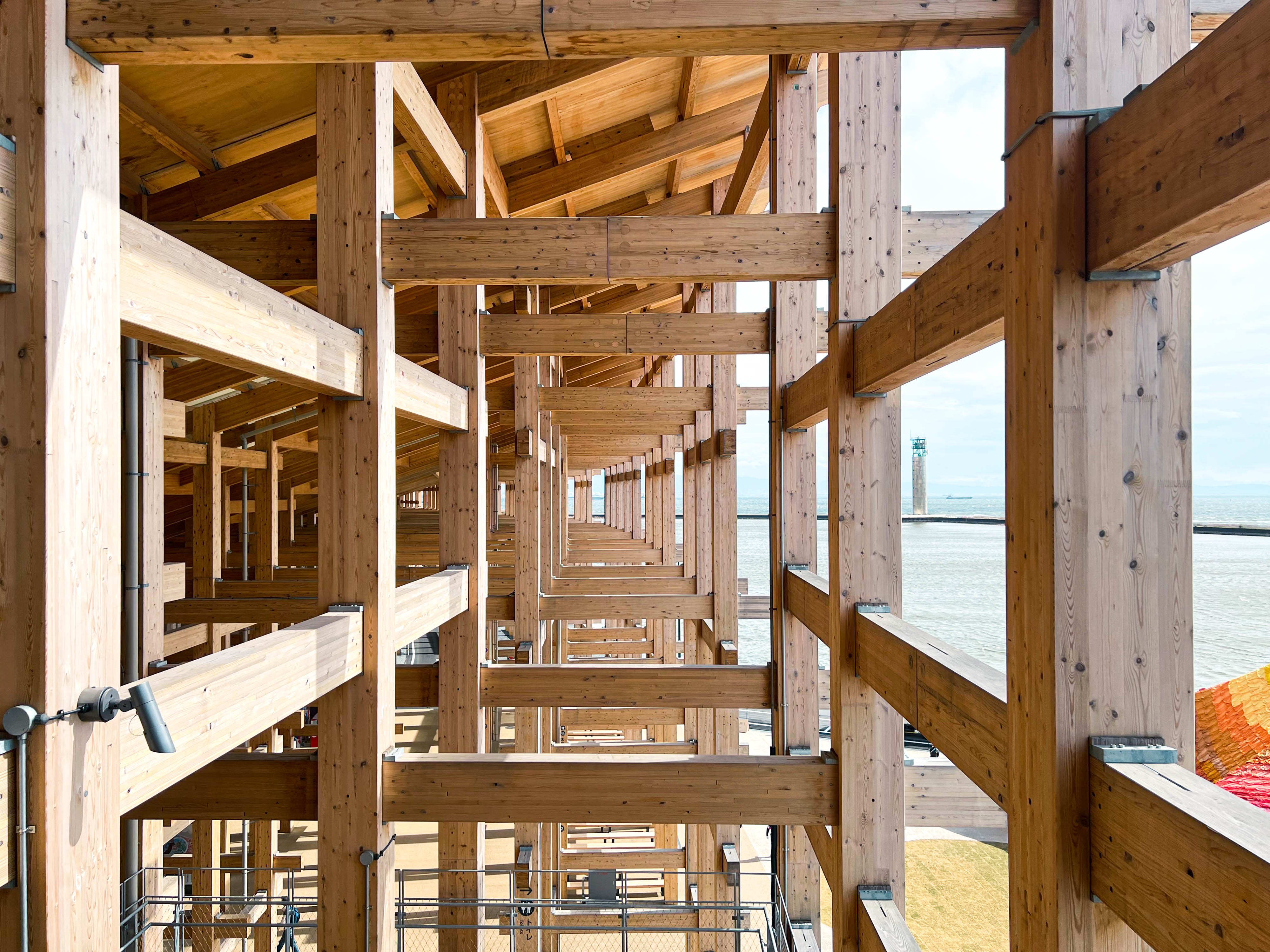 Scenes from the Grand Ring.